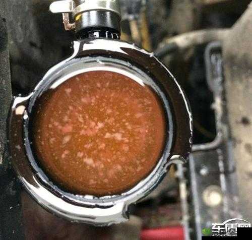 小兄弟里面有白色物质怎么回事：原因及应对之策