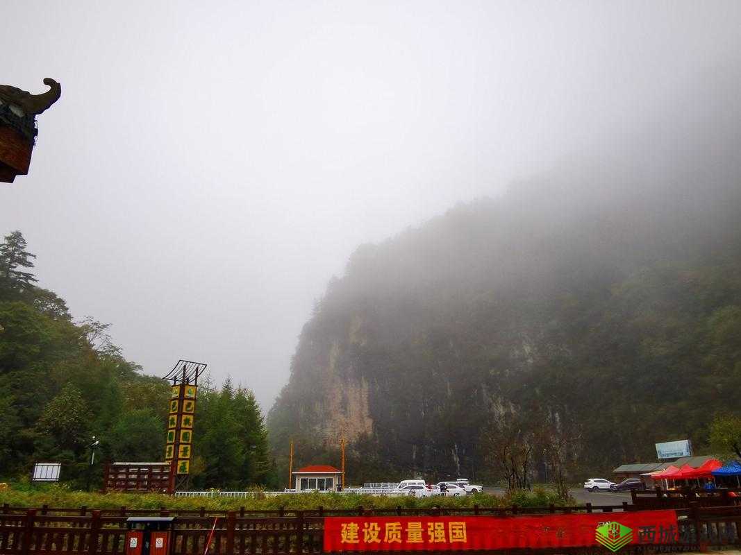 AAAA 级毛皮最火的一句透露了中文社区开放信息：引发关注