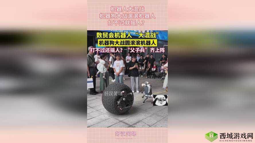 x9x9x9x9x 任意槽 2024 进口的独特魅力与发展前景探讨